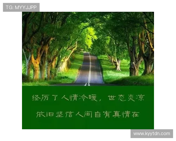 叶之道：一片绿叶的生命哲学，你我皆可参悟的人生智慧