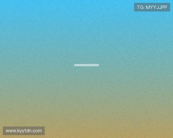 一段被遗忘的旅程：时间长河中的低语